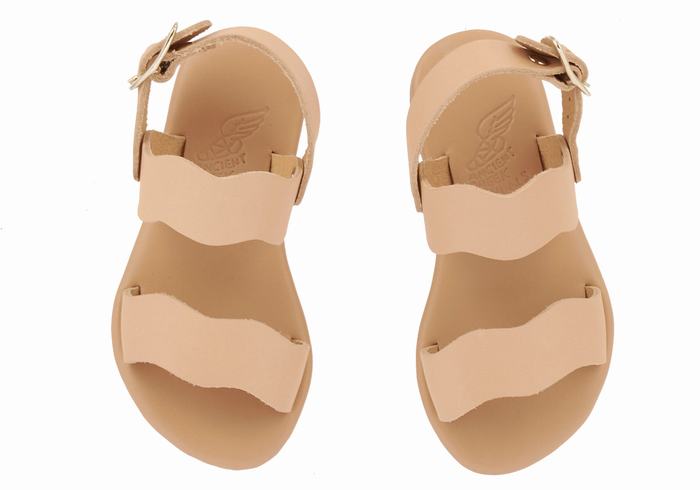 Sandales Casual Ancient Greek Sandals Little Calamos Soft   | YAR-6710345